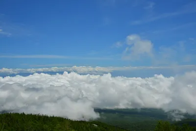 DSC_3642 (Large).JPG